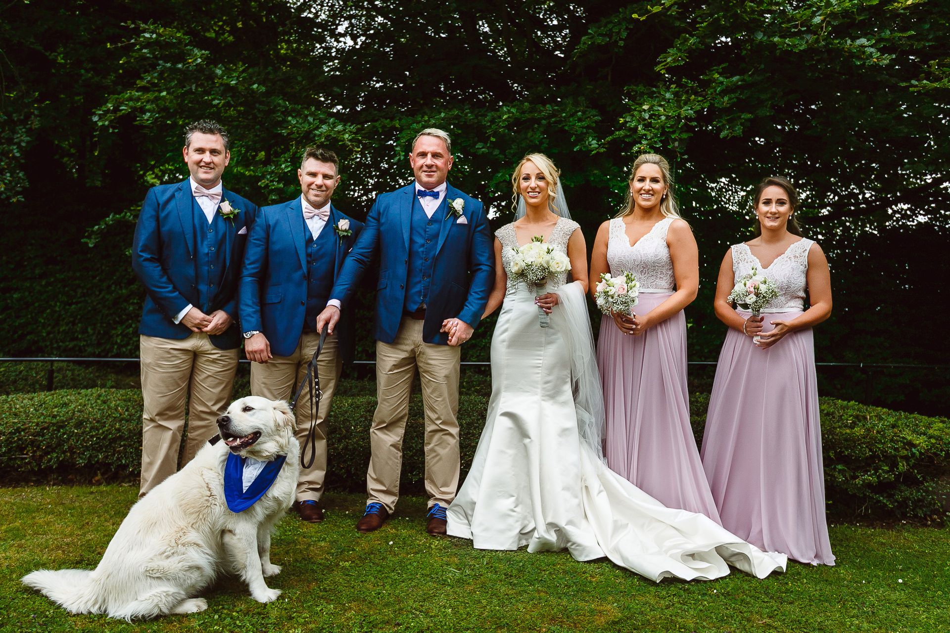 zadbany pies na ślub
